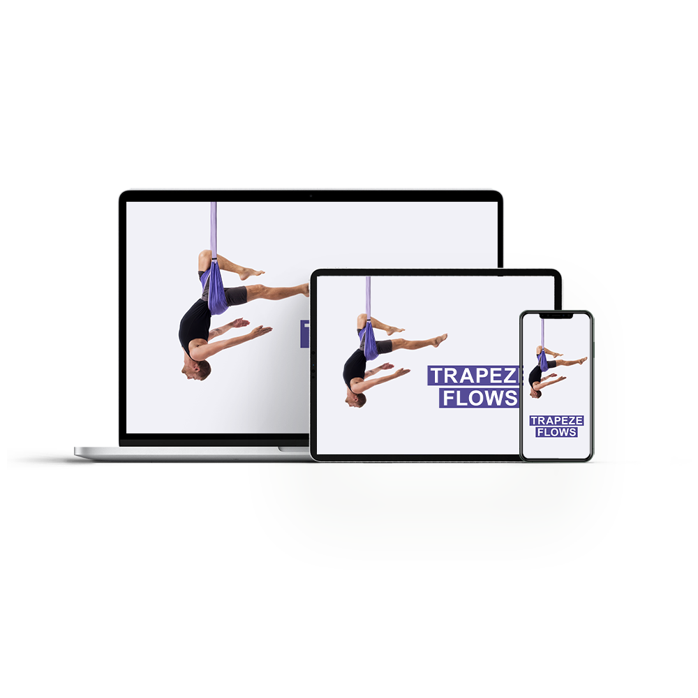 Buy YOGABODY Yoga Trapeze DVD Video [Official]  3 Flow Sequences Online at  desertcartSeychelles
